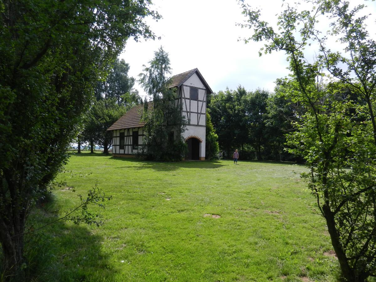 Landhotel "Zum Nicolaner" Grossweitzschen 外观 照片